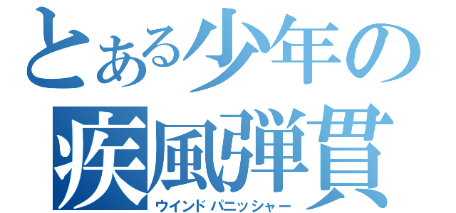 とある少年の疾風弾貫（ウインドパニッシャー）