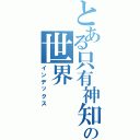 とある只有神知道の世界Ⅱ（インデックス）