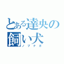 とある達央の飼い犬（ノブナガ）