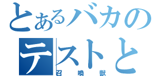 とあるバカのテストと（召喚獣）