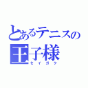 とあるテニスの王子様（セイガク）