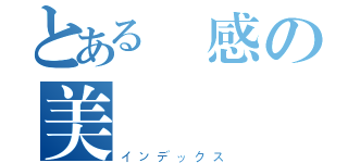 とある動感の美麗（インデックス）