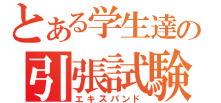 とある学生達の引張試験（エキスパンド）