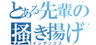 とある先輩の掻き揚げ（インデックス）