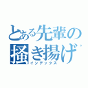 とある先輩の掻き揚げ（インデックス）