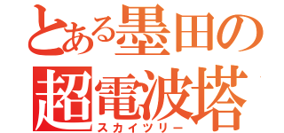 とある墨田の超電波塔（スカイツリー）