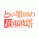 とある墨田の超電波塔（スカイツリー）