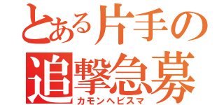 とある片手の追撃急募（カモンヘビスマ）