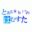 とあるｓｈｉｎのはむすた（）