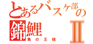 とあるバスケ部の錦鯉Ⅱ（魚の王様）