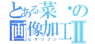 とある菜籽の画像加工Ⅱ（ヒマツブシ）