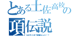 とある土佐高校の項伝説（なぜそこまで綺麗なんだ！？）