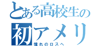 とある高校生の初アメリカ（憧れのロスへ）