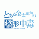 とある金太郎飴の整形中毒（ザクとジムとザコ、汎用顔形）