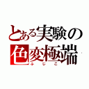 とある実験の色変極端（ふじこ）