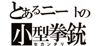 とあるニートの小型拳銃（セカンダリ）