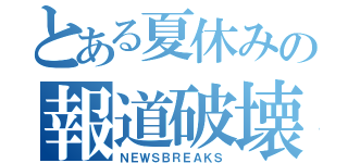 とある夏休みの報道破壊（ＮＥＷＳＢＲＥＡＫＳ）