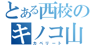 とある西校のキノコ山（カペリート）