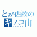 とある西校のキノコ山（カペリート）