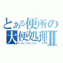 とある便所の大便処理Ⅱ（トイレソウジノヒト）