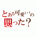 とある可愛いｔａｎとの思った？（）