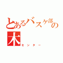 とあるバスケ部の木（センター）