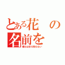 とある花の名前を（僕らはまだ知らない）