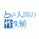 とある人間の性生殖（セックス）