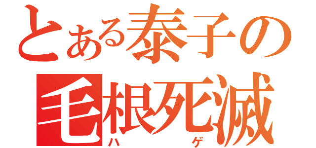 とある泰子の毛根死滅（ハゲ）