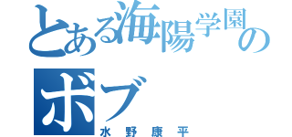 とある海陽学園のボブ（水野康平）