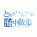 とあるハムたんの海中散歩（スイミング）