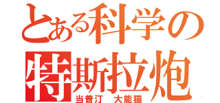 とある科学の特斯拉炮（当普汀 大能猫）