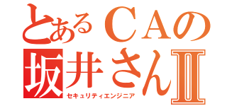 とあるＣＡの坂井さんⅡ（セキュリティエンジニア）