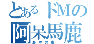 とあるドＭの阿呆馬鹿（あやの虫 ）