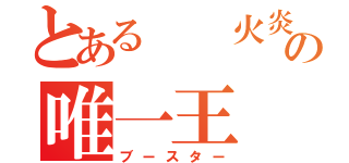 とある  火炎の唯一王（ブースター）