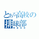 とある高校の排球部（青春物語）