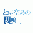 とある空島の悲鳴（中年）