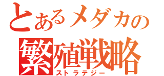 とあるメダカの繁殖戦略（ストラテジー）