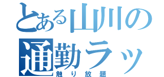 とある山川の通勤ラッシュ（触り放題）