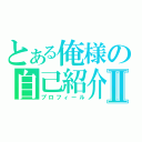 とある俺様の自己紹介Ⅱ（プロフィール）