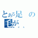 とある足の毛が（ぬけた）