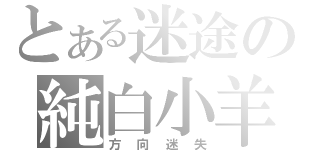 とある迷途の純白小羊（方向迷失）