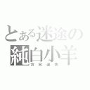 とある迷途の純白小羊（方向迷失）