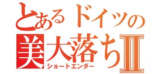 とあるドイツの美大落ちⅡ（ショートエンダー）