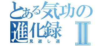 とある気功の進化録Ⅱ（見返し道）