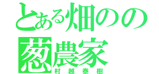 とある畑のの葱農家（村越泰樹）