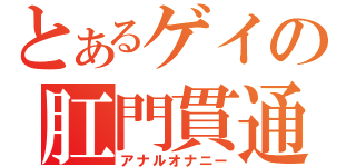 とあるゲイの肛門貫通（アナルオナニー）