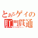 とあるゲイの肛門貫通（アナルオナニー）