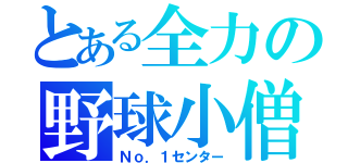 とある全力の野球小僧（Ｎｏ．１センター）