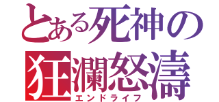 とある死神の狂瀾怒濤（エンドライフ）